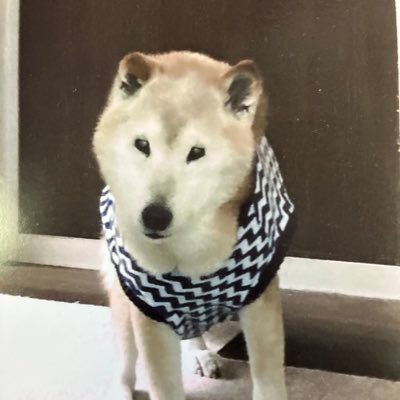 kirarasakusaku's profile picture. ガンバらないをモットーに日々ガンバって!?ます(笑)音楽何でも好き♪下手な楽器を鳴らし、最近ｺﾝｻｰﾄはｸﾗｼｯｸにｳｴｲﾄかかってます。文楽や歌舞伎も大好き…日本の古い物事に反応示します_(._.)_