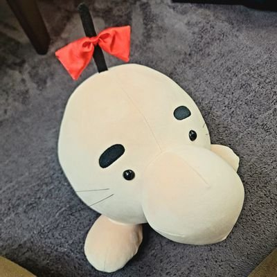 おたぴさんのプロフィール画像