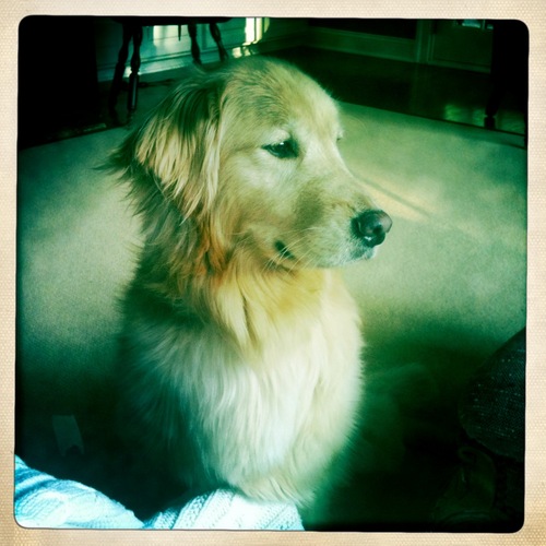 Ellen_K_G's profile picture. 