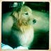Ellen Gonzales (@ellen_k_g) Twitter profile photo