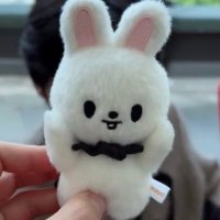 iris🐰 (@skz_lk25) 's Twitter Profile