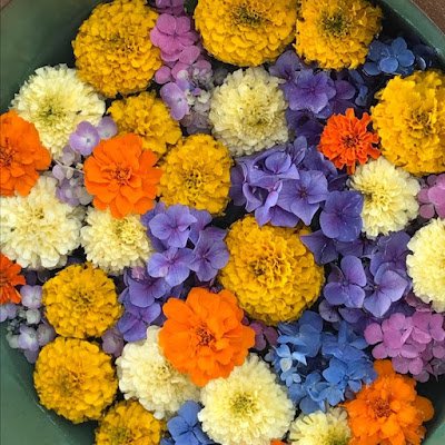 kazu82404854733's profile picture. アメブロ⭐キセキのパドック診断👉黄金数列と言う予想方法で人気薄の激走馬をピックアップ。
パドック診断でも激走馬を見抜きます。競馬歴３０年　パドックで数万頭の馬を見てきた眼で