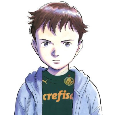 Nerdice, futebol, tenho escoliose, ceratocone, anemia e torço pro palmeiras