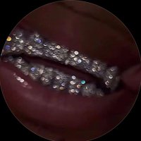 . (@hsavge) 's Twitter Profile