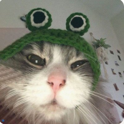 HurakiSolana's profile picture. @versusfnf