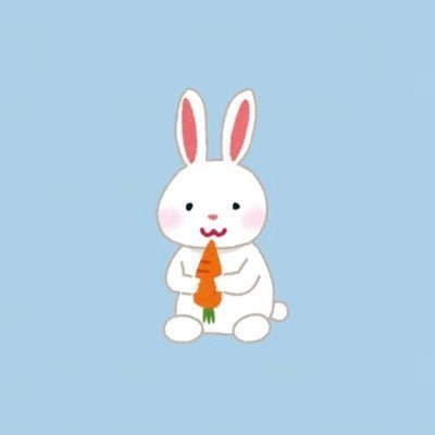 もーこさんのプロフィール画像