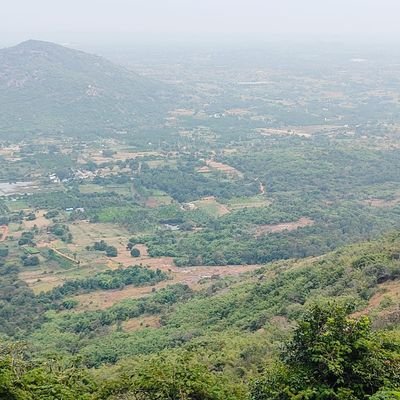 NadigGirish's profile picture. 