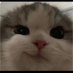 Dungueon37 (@danielf73472587) Twitter profile photo