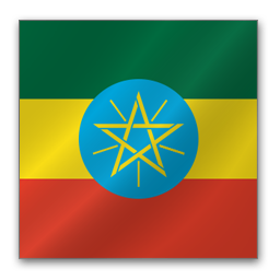 Buy Ethiopian goods, exports and services. Invest in Ethiopia.