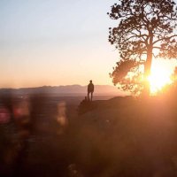 Ꭿ ᏞᎥعلہٰيٰᎯ ᏞᎥ (@1872_ali) Twitter profile photo