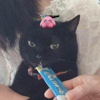 ひ ろ 🦔💨 (@hiromaru420) 's Twitter Profile