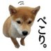 ぺこり🐕場末 野良_守る会サポーター (@mahalo_usa) Twitter profile photo ぺこり🐕場末 野良_守る会サポーター (@mahalo_usa) Twitter profile photo