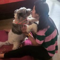 Manimozhi trish😍❤️ (@manitrishians) 's Twitter Profile