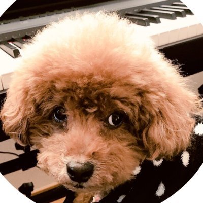 なゆちゃんずです。作曲が好きです。
ラーメン荘とポスト渋谷系が好きです。
SONICWIRE CONTEST 2024 - 歌モノ編にて優秀賞受賞
月ノ美兎PaperRabbit「みちくさイズム」作曲