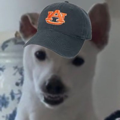 Wardamnsoup's profile picture. #wardamn #Saints #pelicans #texashockey