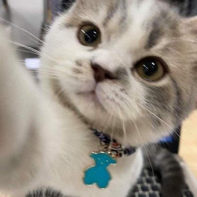 liyanawsz's profile picture. btsvt + amnse = home ෆ