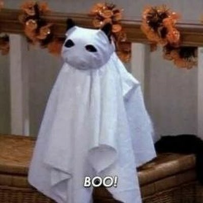 tacitadetae95's profile picture. 