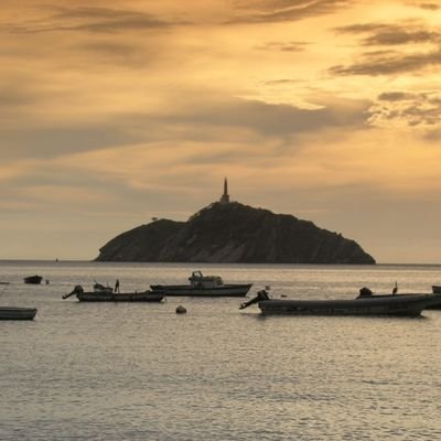 NestorConsuegr7's profile picture. 