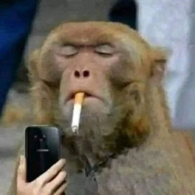 DonMuscle27's profile picture. Discreción y respeto