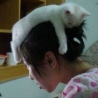 띠 (@wishddi) 's Twitter Profile