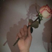 Rodney Brown (@rodneybrow75619) 's Twitter Profile