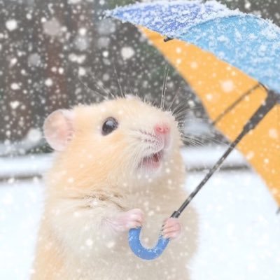 haru05_lee's profile picture. 일상기록/ 경찰행정학부생