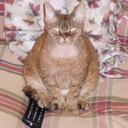 Layla Fitzgerald - @laylafitz - Twitter