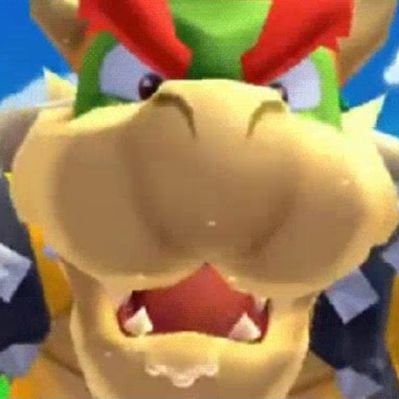 i am not bowser, I am the digital manifestation of the .gif file of bowser humping. I BLOCK FREELY and wont follow back 18+ accounts OK rhanks