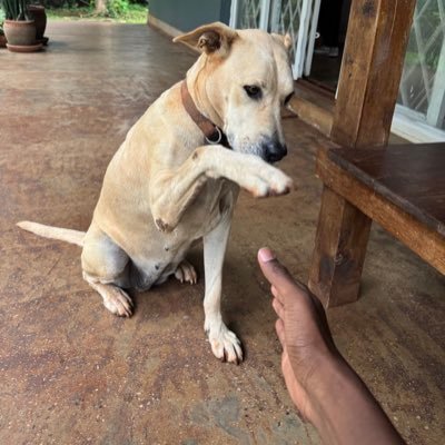 r4fikiiii's profile picture. 