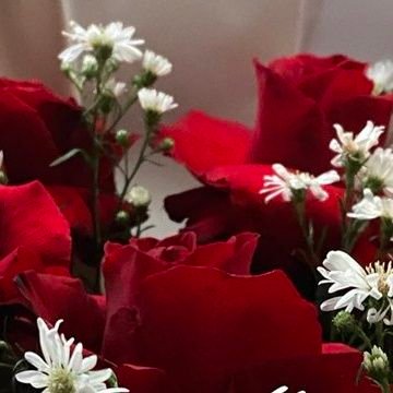 vio_xoox's profile picture. nothing