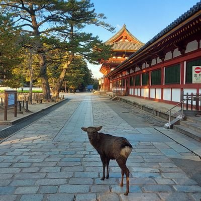 中高年の毎日。散歩が生きる力。
甘いもの。魚介類。朝ドラ。読書。寺社仏閣。短歌会。万葉集。野鳥。セキセインコ。オカメインコ。宝塚歌劇。スキー。
山登り。ミュージカル。本人・坊ん達ともにADHD&ASD。