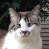 🐛🌷Dean🪴🦋 (@itsmedeaner) 's Twitter Profile Photo 🐛🌷Dean🪴🦋 (@itsmedeaner) 's Twitter Profile Photo