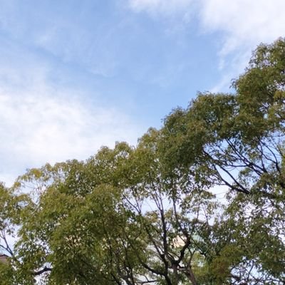 dye_8s's profile picture. 神にもっと近い人間。イーロン・マスクさんにフォローされています。
