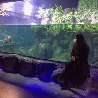 Gülsüme Özkan (@ozknngull) Twitter profile photo