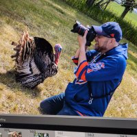 David Carter (@davidcarterfoto) 's Twitter Profile Photo David Carter (@davidcarterfoto) 's Twitter Profile Photo