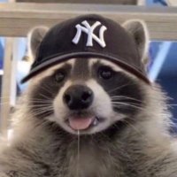 zoz🐏 (@zozquity) 's Twitter Profile Photo zoz🐏 (@zozquity) 's Twitter Profile Photo