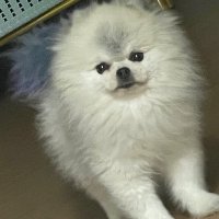 Nonghung (@nonghung16) 's Twitter Profile Photo Nonghung (@nonghung16) 's Twitter Profile Photo