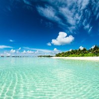 spooky (@spookywtw) 's Twitter Profile