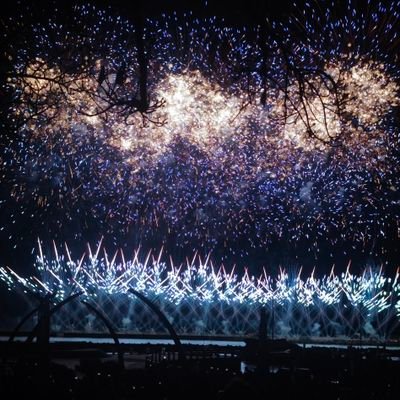 sheroyal_5's profile picture. 日本語まだまだ勉強中／SUPER EIGHTER💜6年目／野鳥観察3年目／やや鉄道オタク／本業のために文化活動のビザを取って来日だが結局本業より推し活&鳥活＆鉄活／すでに帰国