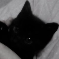 옹동 (@ongdong_b) 's Twitter Profile Photo 옹동 (@ongdong_b) 's Twitter Profile Photo