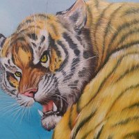 Terry Paule (@terry_paule) 's Twitter Profile Photo Terry Paule (@terry_paule) 's Twitter Profile Photo