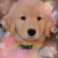 tem🐾 (@childrensunit) 's Twitter Profile