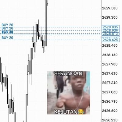 arifspambudi's profile picture. 