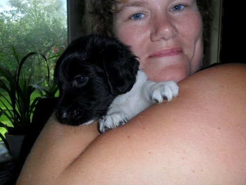 Karianne37's profile picture. 