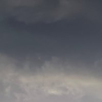 Alaa Alqaraleh (@alaaalqaraleh) 's Twitter Profile