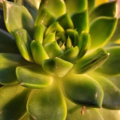 nick_Kiprop's profile picture. 