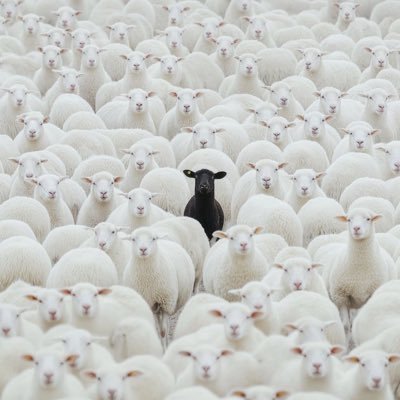 nightowll234's profile picture. 