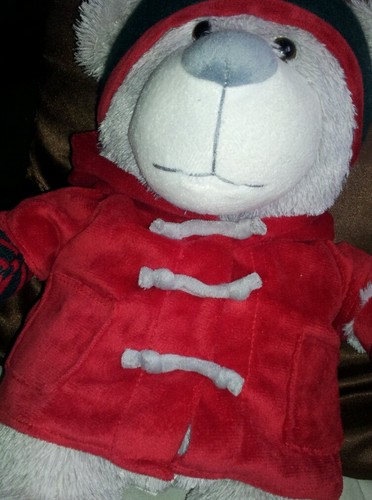 Im a bear, I like bear things, and doing bear activites.