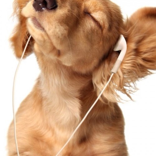 LeeGasee's profile picture. 