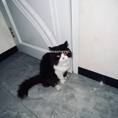 konanteyei's profile picture. Technical analysis🧪